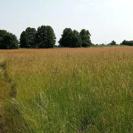 Wald-elfe Dom wakacyjny Buchholz Aller