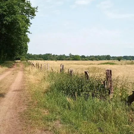 Wald-elfe Buchholz Aller