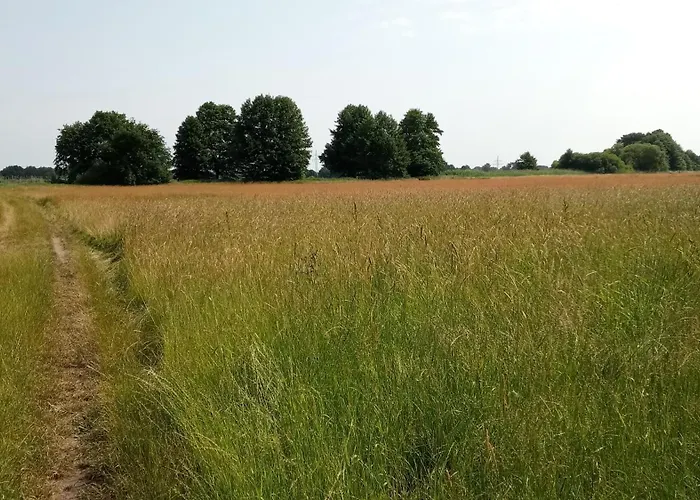 Wald-elfe Hébergement de vacances Buchholz