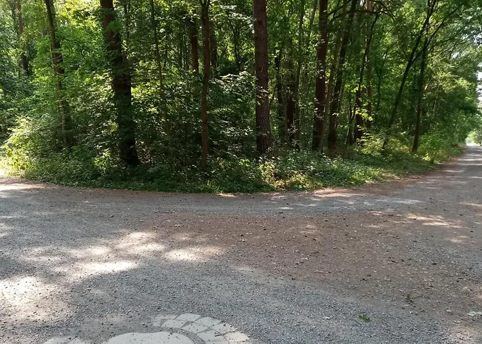 Wald-elfe Hébergement de vacances